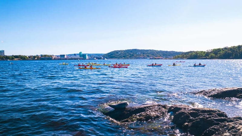 Oslo Sea Kayak Tour Fjord City - The Sum Up: Why You Should Try It