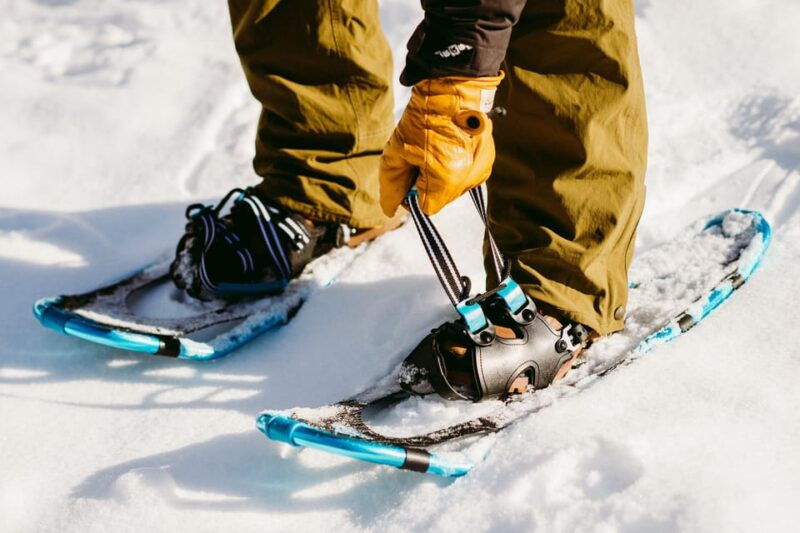 Oslo: Snowshoeing in the Forest with Norwegian BBQ - Who Will Love This Tour?