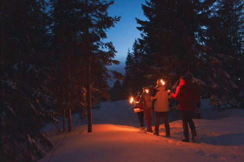 Oslo: Snowy Forest Torchlight Walk with Campfire - The Start: City Views and Forest Boundaries