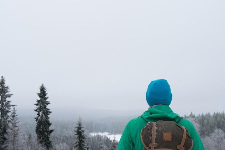 Oslo Summit: A Scenic Hiking Adventure to Vettakollen - Activity Details