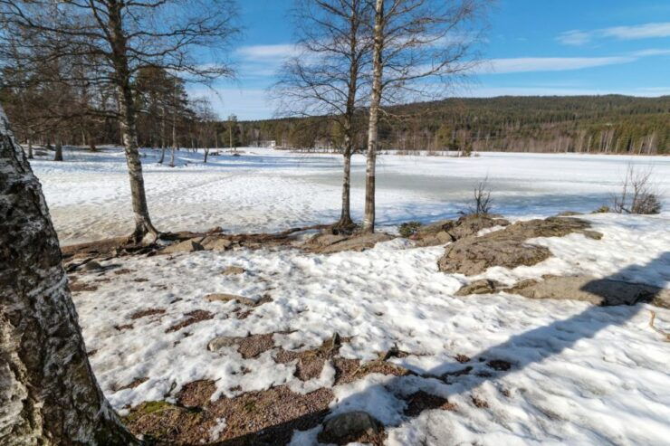 Oslo Summit: A Scenic Hiking Adventure to Vettakollen - Activity Description