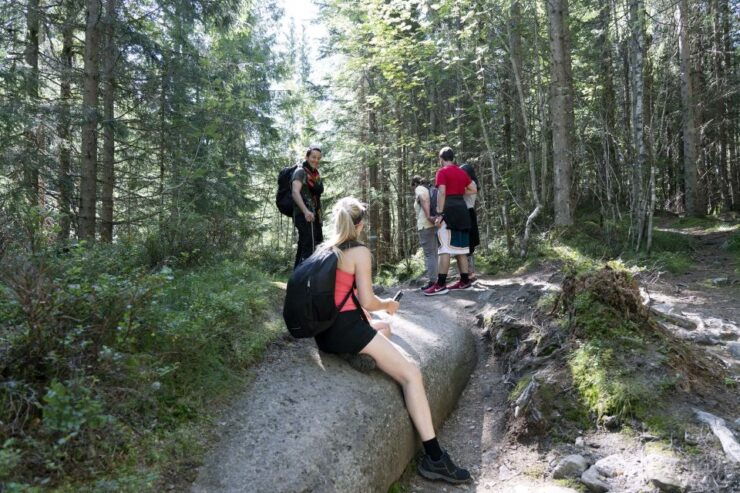 Oslo: Vettakollen Hike With Oslofjord View - Activity Overview