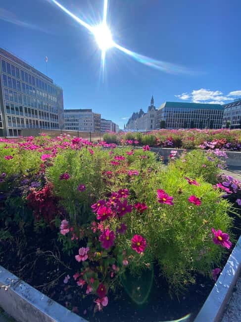 Oslo Walk:City Highlights & Hidden Gems_Private Walking Tour - The Sum Up: Why Choose This Tour?