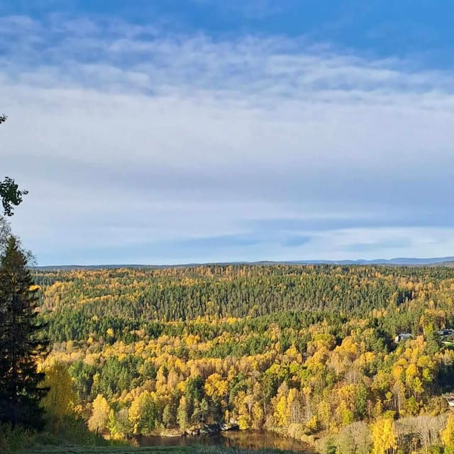 Oslo: Yoga & Hiking with a dog - Good To Know