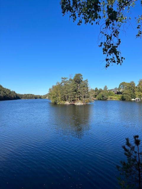 Oslo: Yoga & Hiking with a dog - The Sum Up