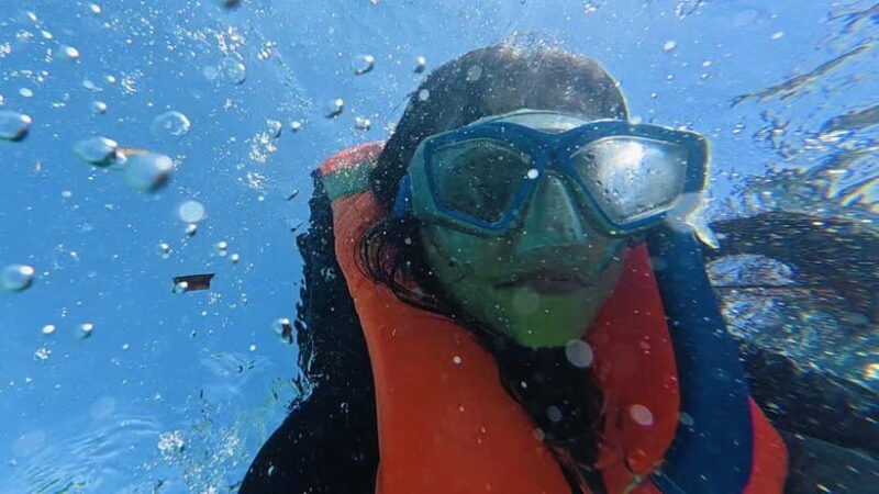 Oslob Whale Shark, Aguinid Falls & Moalboal Snorkeling - Who Should Consider This Tour?