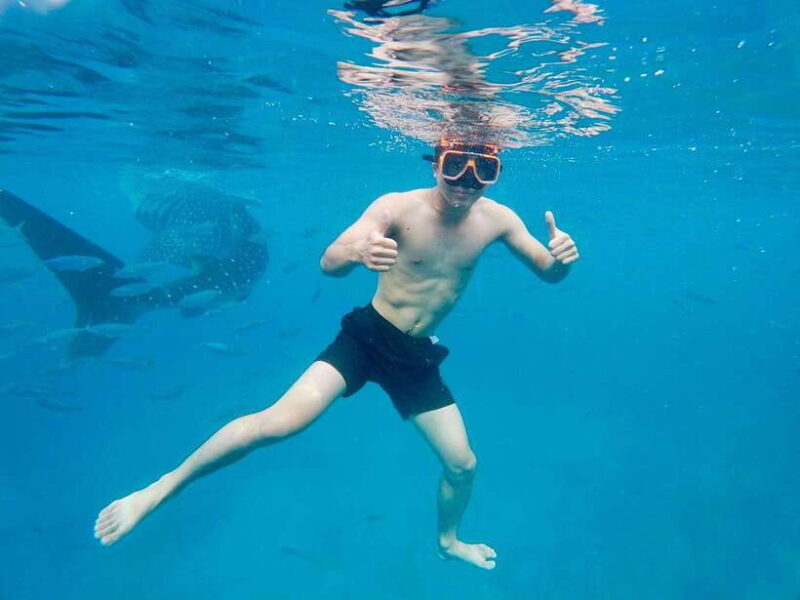 Oslob Whale Shark Direct - Exploring the Oslob Whale Shark Direct Tour: A Complete Review