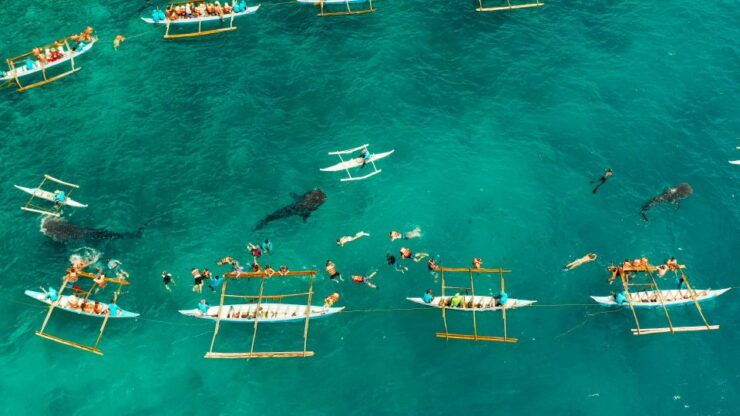 Oslob Whale Shark Encounter With Kawasan Canyoneering - Cancellation Policy