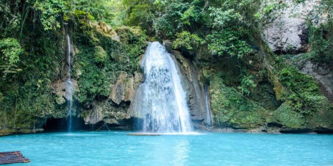 Oslob Whale Shark Encounter With Kawasan Canyoneering - Professional Guides
