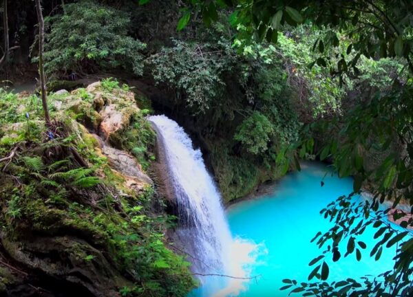Oslob Whale Shark Encounter With Kawasan Canyoneering - The Sum Up