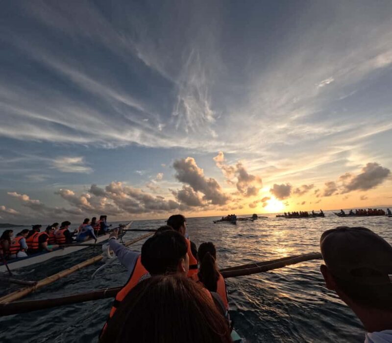 Oslob: Whale Shark Snorkeling Experience - Good To Know