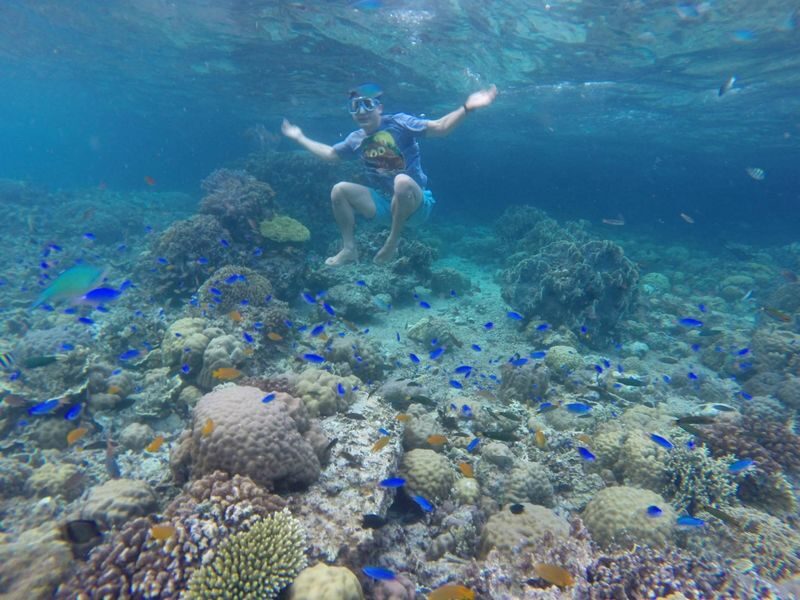 Oslob Whale Shark Snorkeling with Sardines & Turtles Tour in Cebu - Is the early start worth the price?
