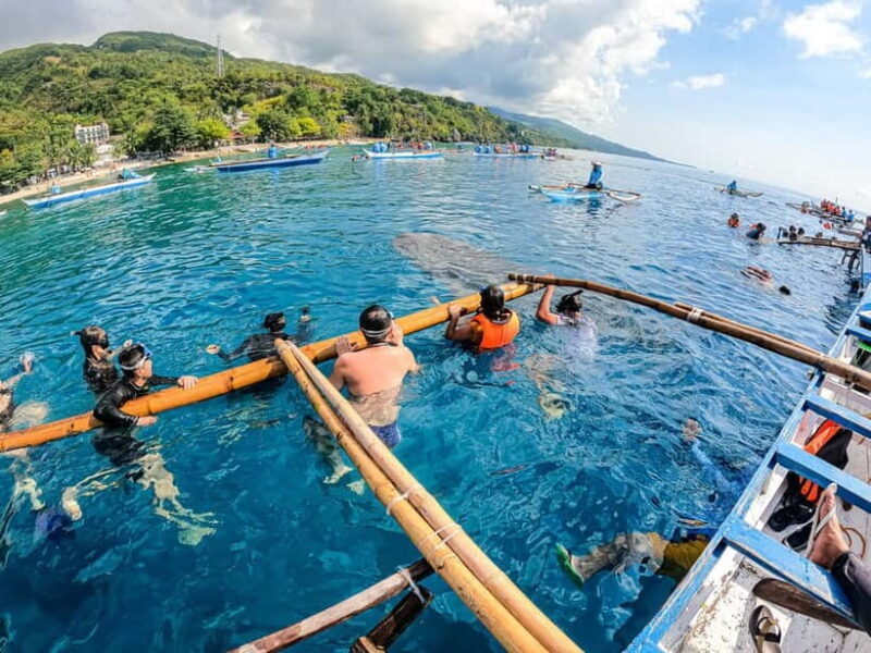 Oslob Whale Shark & Tumalog Waterfalls & Sumilon Sandbar - An In-Depth Look at the Tour Experience
