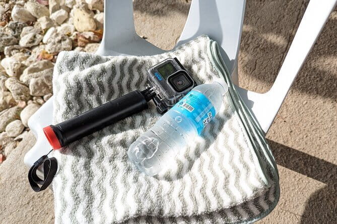 Oslob Whale Shark & Tumalog Waterfalls & Sumilon Sandbar - Practical Tips for Your Day