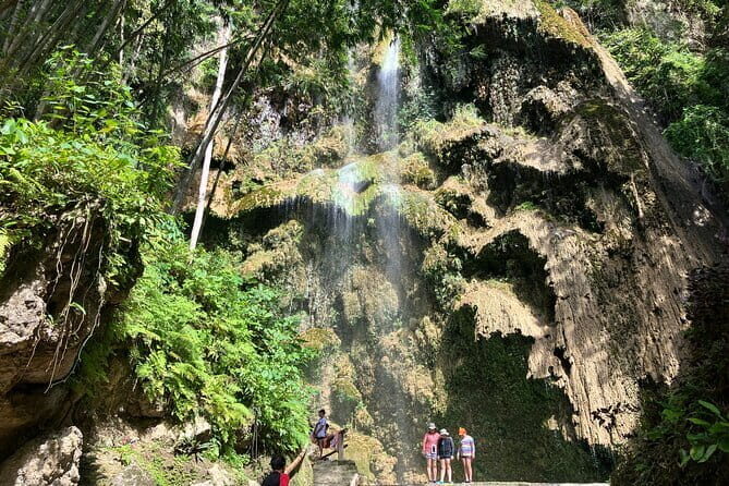 Oslob Whale Shark & Tumalog Waterfalls & Sumilon Sandbar - The Itinerary in Detail: What You Can Expect