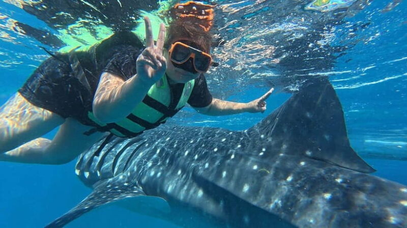 Oslob: Whale Shark Watching Private tour - FAQ