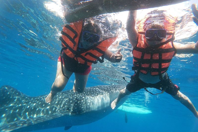 Oslob Whale Shark Watching, Tumalog Waterfalls and Simala Shrine - Key points before you book