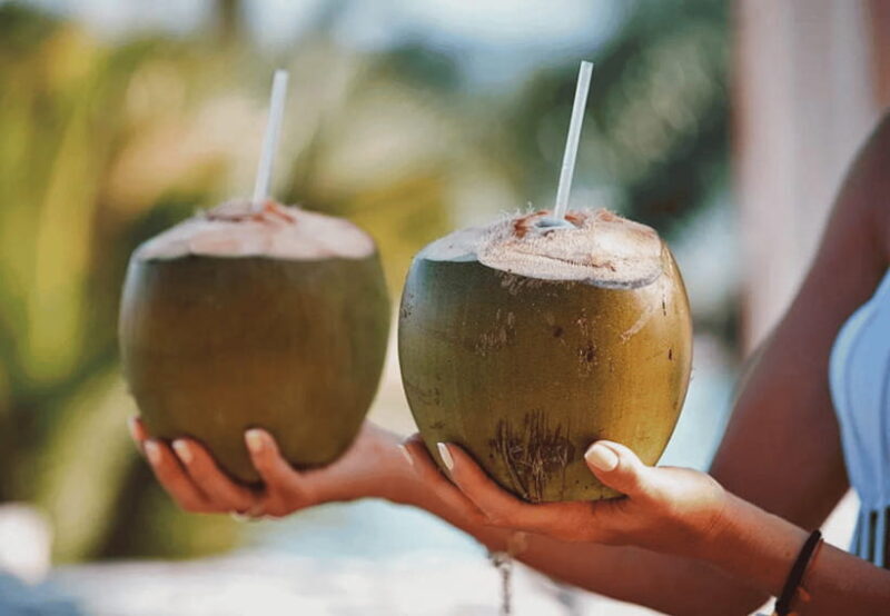 Oslob: Whale Sharks, Tumalog Falls, & Monkey Sanctuary Tour - The Sum Up