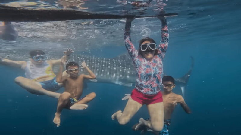 Oslob: Whale Sharks, Tumalog Falls & Sumilon Trio Adventure - Whats Included and Whats Not