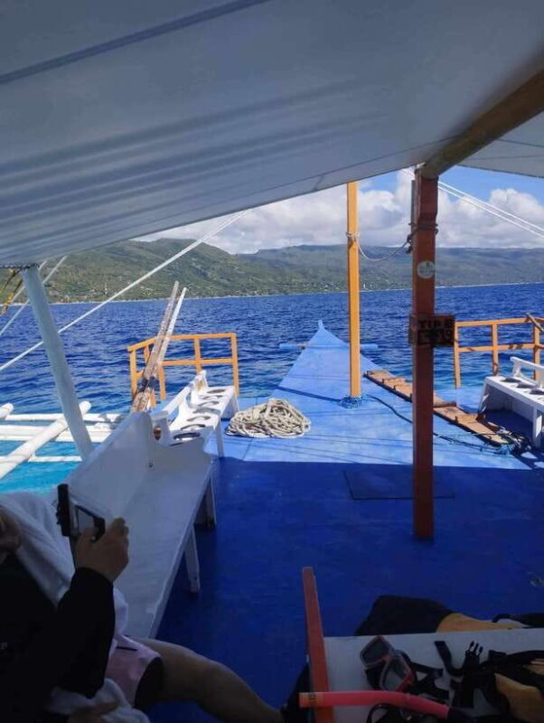 Oslob: Whale Sharks, Tumalog Falls & Sumilon Trio Adventure - Good To Know