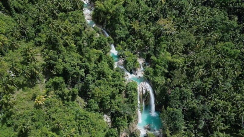 Oslob: Whaleshark Swimming, Inambakan Falls & Moalboal Tour - Authentic Insights from Reviews