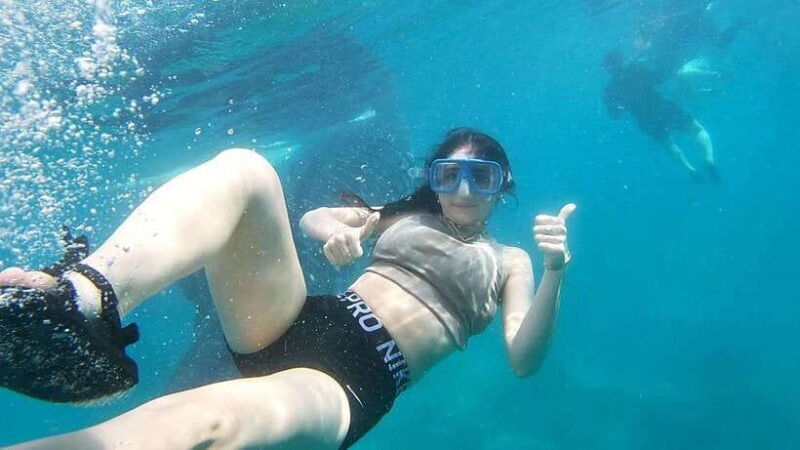 Oslob: Whaleshark Swimming, Tumalog Falls & Sumilon Island - Good To Know