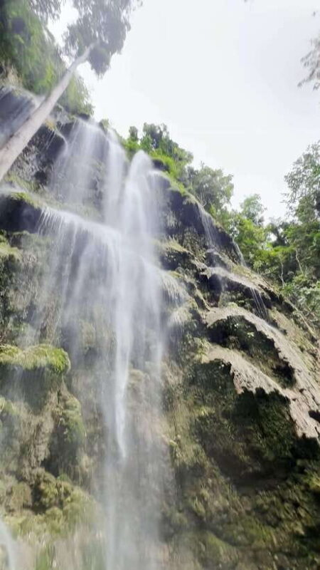 Oslob: Whaleshark Swimming, Tumalog Falls & Sumilon Island - Final Thoughts