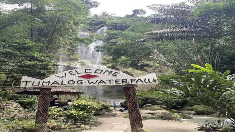 Oslob Whaleshark, TumalogFalls, Kawasan Falls, Lunch PRIVATE - Exploring Cebu’s Natural Marvels in One Day  