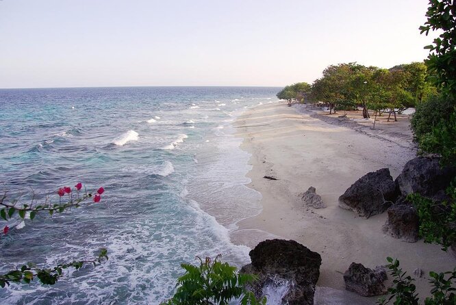 Oslob Whaleshark Watching & Tour in Cebu - Inclusions and Amenities