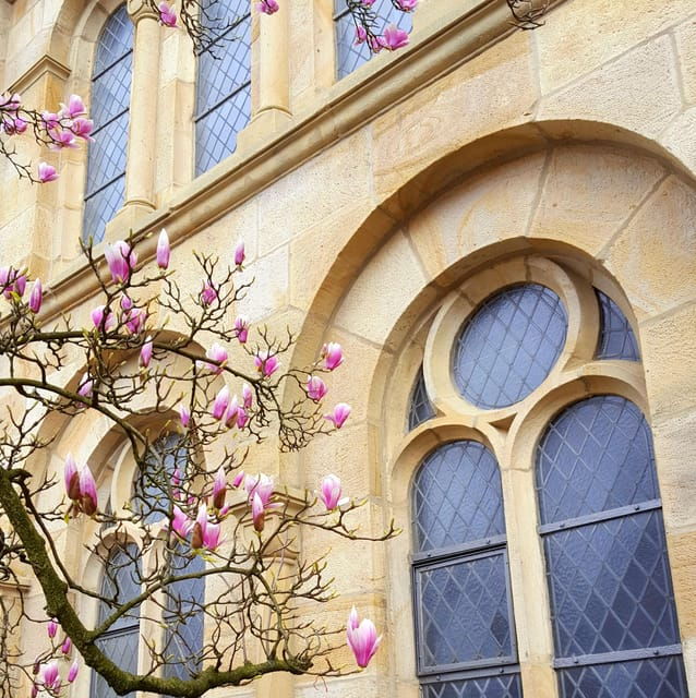 Osnabrück: Town Hall and Old Town Tour (City Tour) - Customer Reviews
