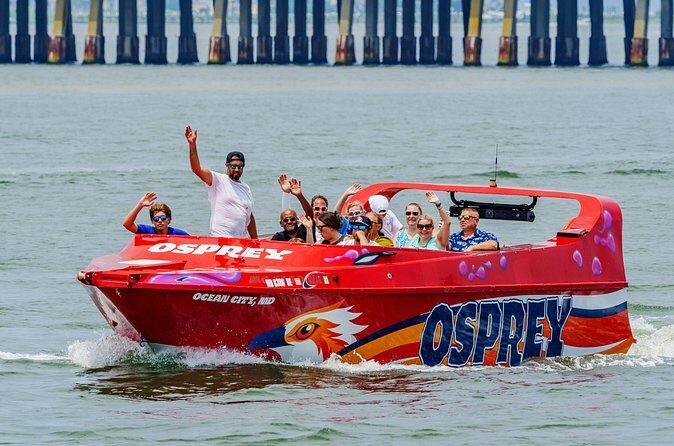 Osprey: A Unique Jet Boat Experience - What to Expect from the Itinerary