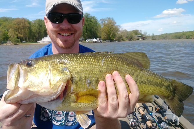 Osprey Fishing Charters: Potomac River Fishing - Schedule and Logistics
