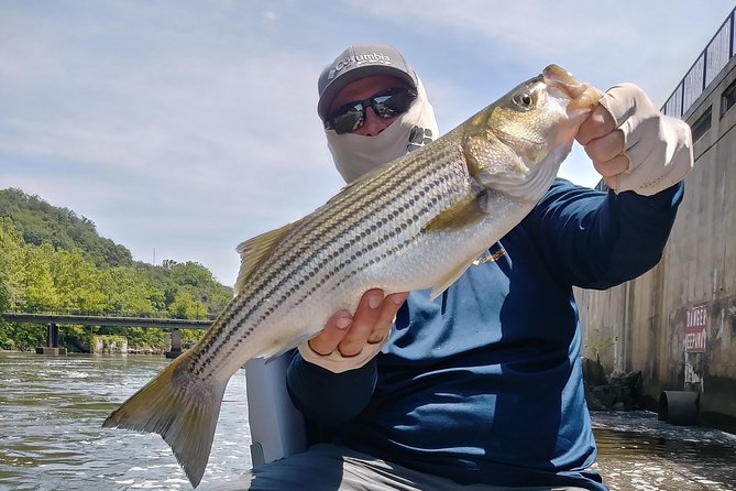 Osprey Fishing Charters: Potomac River Fishing - Additional Information