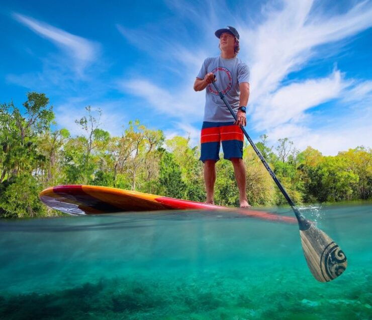 Osprey: Guided Dolphin and Manatee SUP or Kayaking Tour - Activity Details