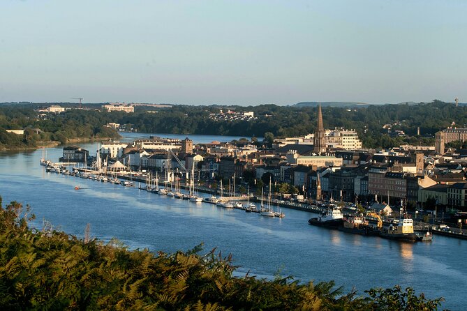 Osprey Viking Cruises - Overview and Ratings