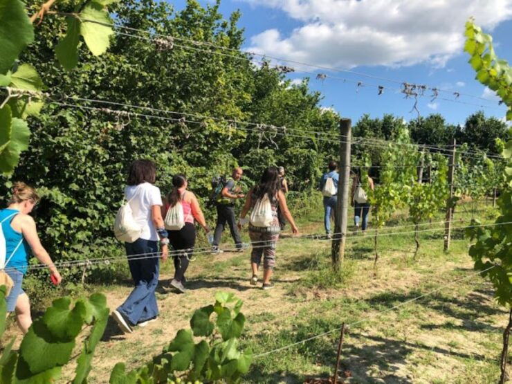 Ostana: Monviso Guided Hiking Day Trip With Tastings - Experience Highlights