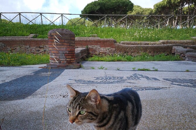 Ostia Antica Archaeological Site and Old Town Private Tour - Rome - Inclusions and Exclusions