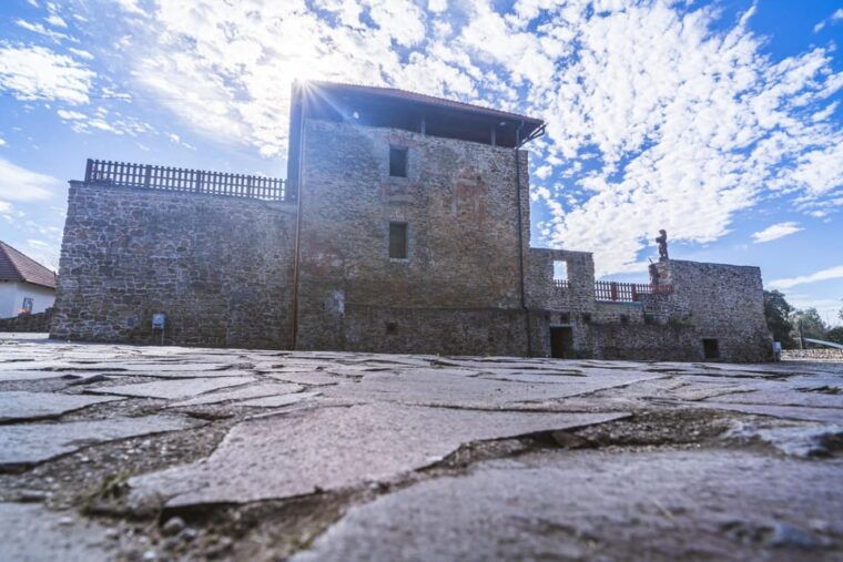 Ostrava: Entrance to Silesian Ostrava Castle - Who Is This Tour Best Suited For?