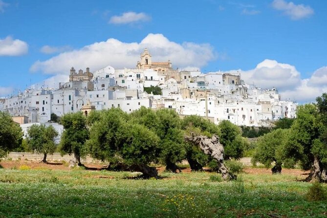 Ostuni, Alberobello and Polignano a Mare. Departing From Lecce - Testimonials