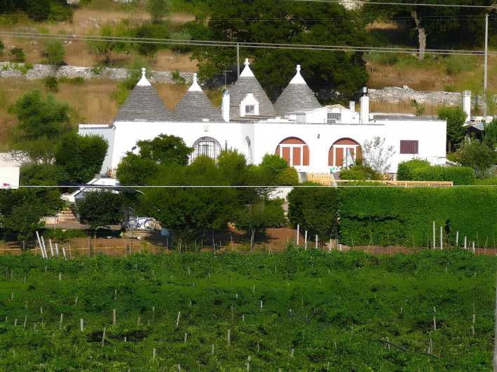Ostuni Countryside: Wine Tasting and Lunch in a Masseria - Unique Features of the Masseria