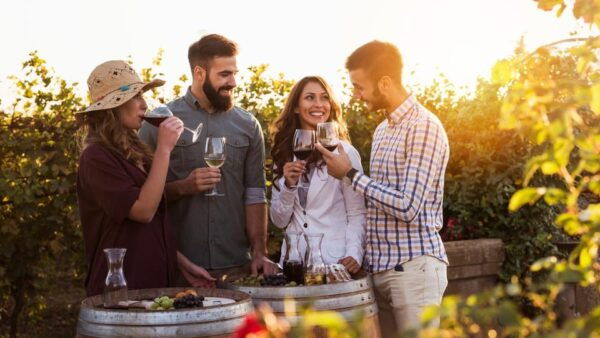 Ostuni Countryside: Wine Tasting and Lunch in a Masseria - Participant Insights and Feedback
