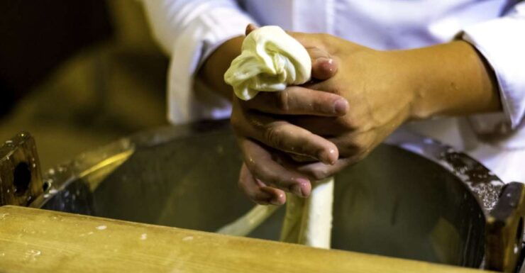 Ostuni : Discovering the Ancient Art of Cheese Making - Background of Cheese Making Experience
