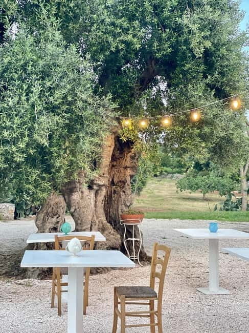 Ostuni: Farm tour among thousand-year-old olive trees with oil tasting - Authentic Reviews and What They Tell Us