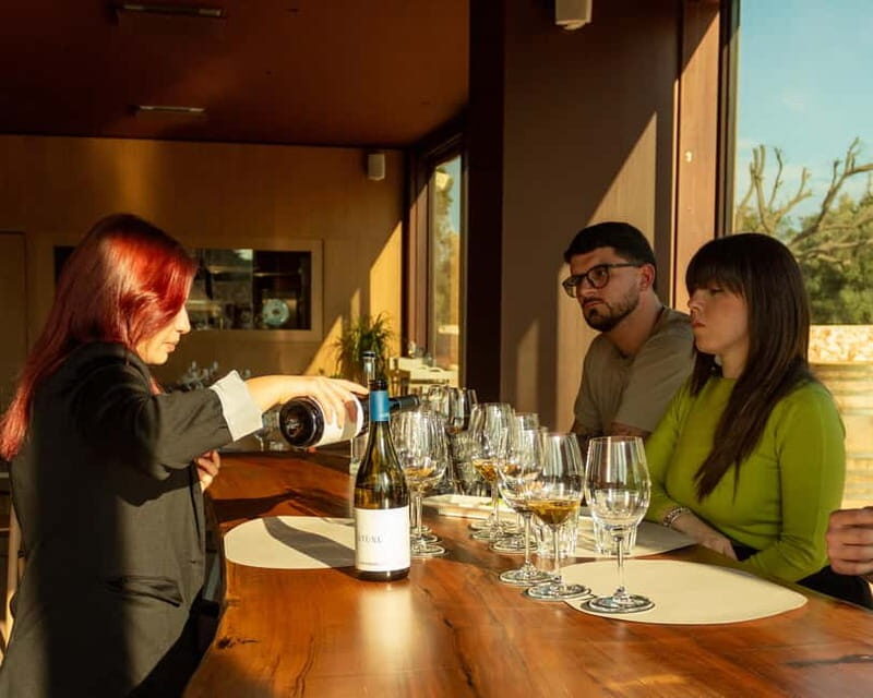 Ostuni organic wines - tour and tasting in the winery - Tasting Experience – Sipping with Local Flavors