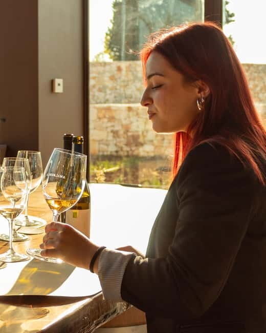 Ostuni organic wines - tour and tasting in the winery - FAQ