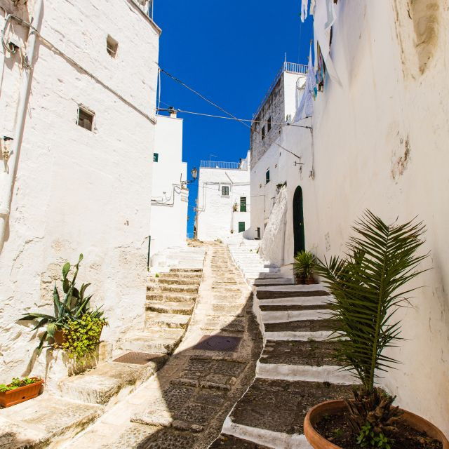 Ostuni: Private City Walking Tour With Local Guide - Tour Overview
