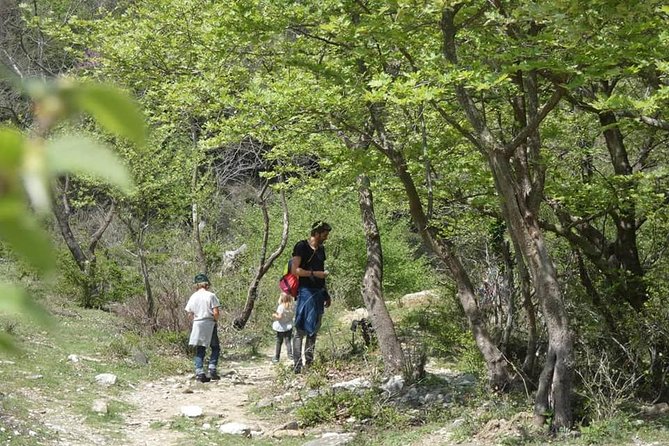 Osumi Canyons and Bogova Waterfall From Berat - Tour by 1001 Albanian Adventures - Cancellation Policy