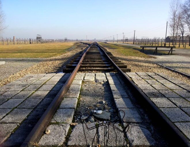 Oswiecim: Auschwitz-Birkenau Skip-the-Line Entry Tickets - Important Information