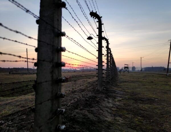 Oswiecim: Auschwitz-Birkenau Skip-the-Line Entry Tickets - Immersive History Tour