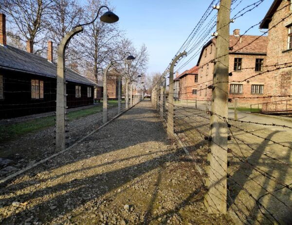 Oswiecim: Auschwitz-Birkenau Skip-the-Line Entry Tickets - Navigating Security Procedures